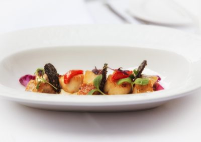 Food Photography
