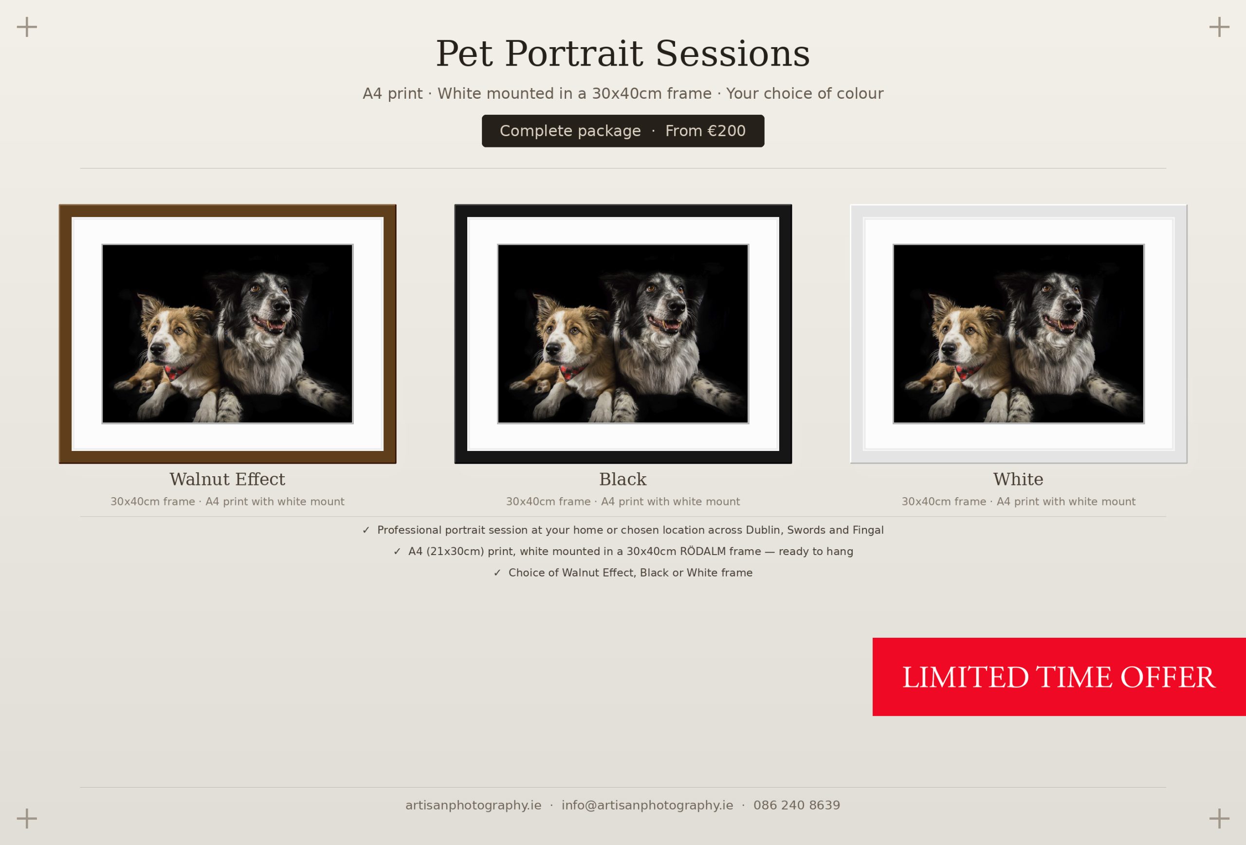 pet photography Dublin, dogs portrait by Artisan Photography
